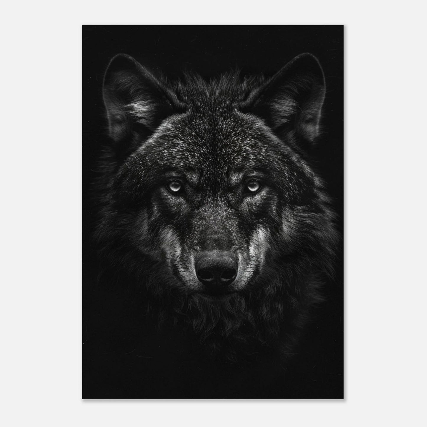 Loup Noir & Blanc - Tableau animal - Studio Elysium