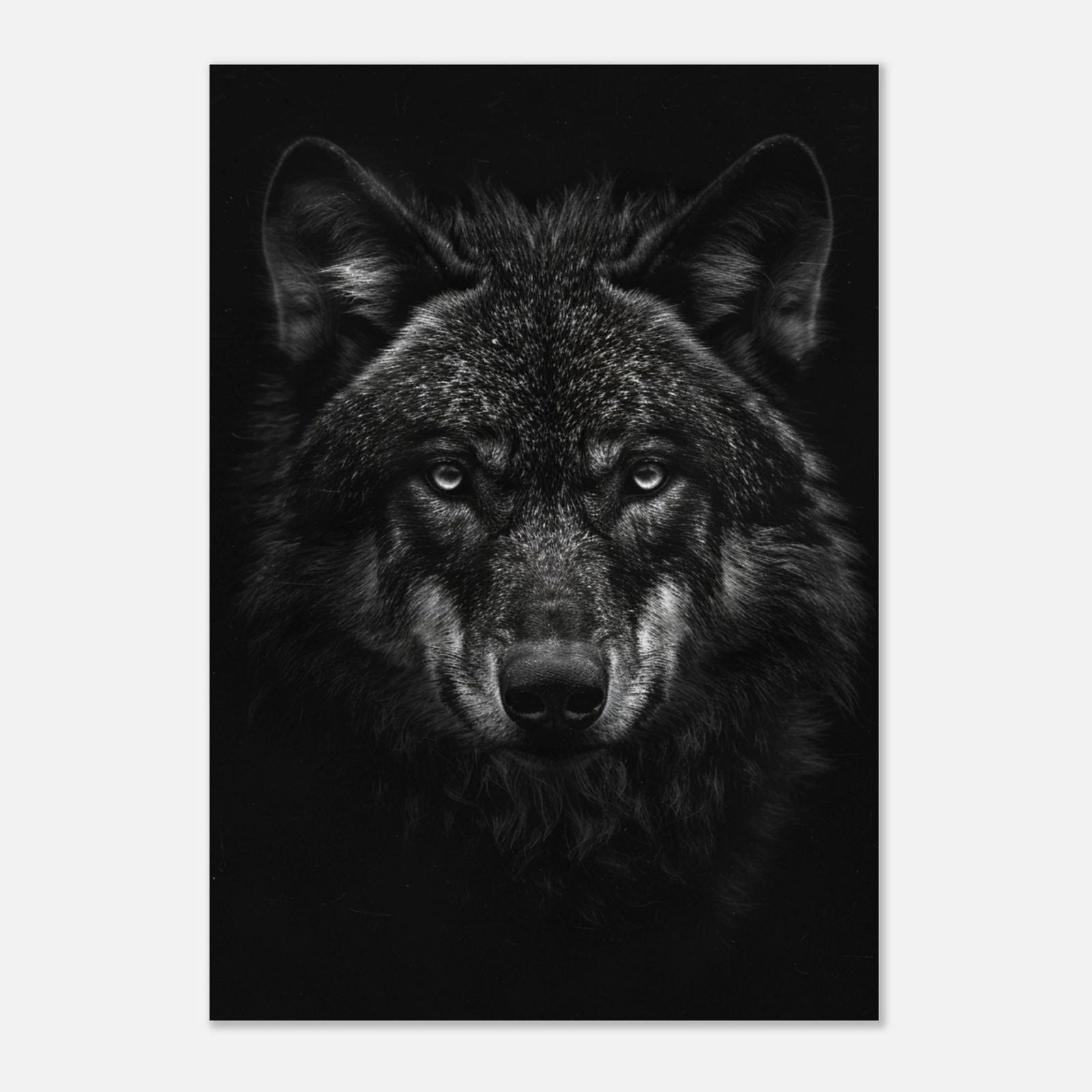 Loup Noir & Blanc - Tableau animal - Studio Elysium